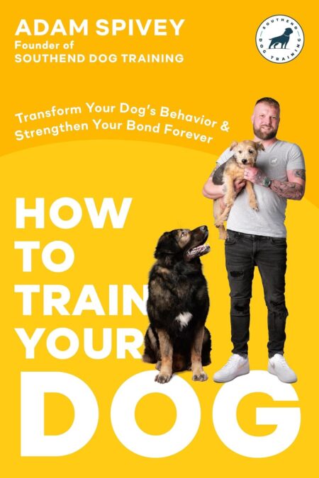 Cover of How to Train Your Dog by Adam Spivey: a clean paperback design showing author name and bold title with a friendly dog illustration, evoking clear, modern dog training guidance.