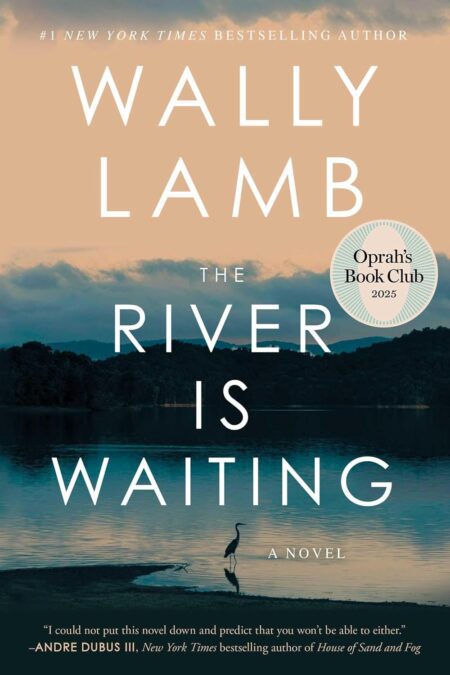 Book cover of 'The River Is Waiting' by Wally Lamb – College book deals at RentSellBooks.com